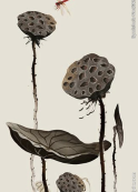 孝悌篇