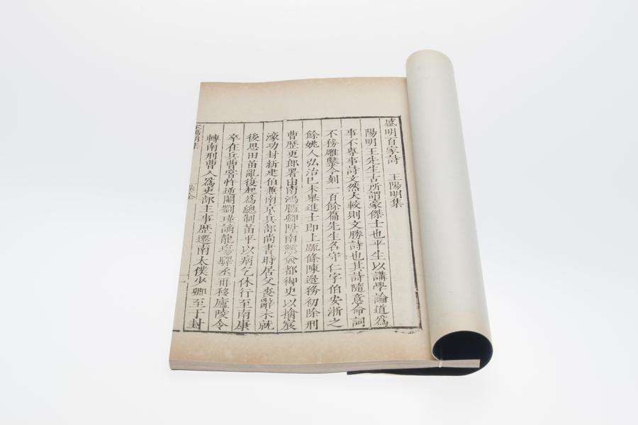 王阳明集 全景图（五）,王阳明,王守仁,阳明文化