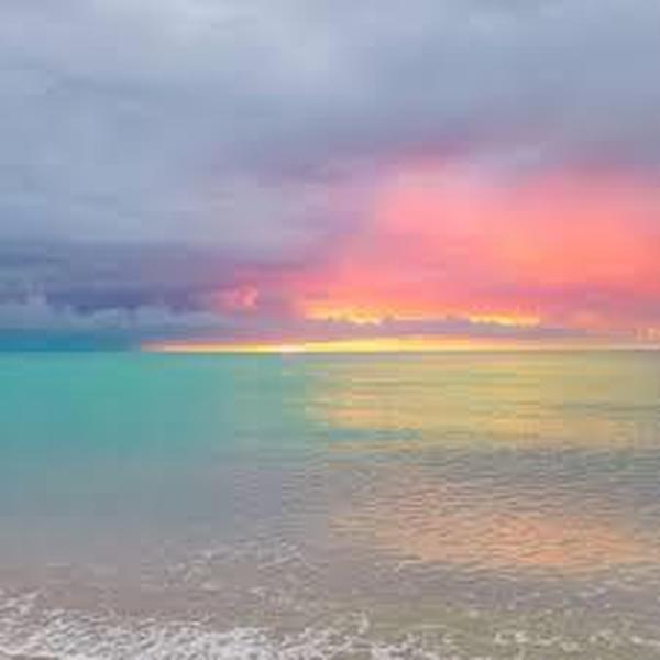 测试,王阳明,王守仁,阳明文化