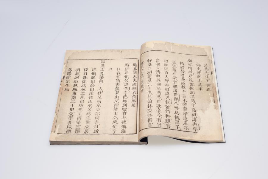 阳明先生年谱二卷(四),王阳明,王守仁,阳明文化