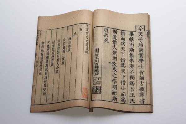 王文成公文选八卷,王阳明,王守仁,阳明文化