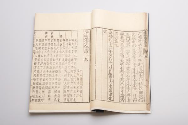 阳明先生年谱三卷,王阳明,王守仁,阳明文化