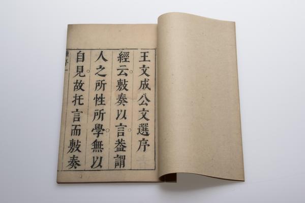 王文成公文选八卷,王阳明,王守仁,阳明文化