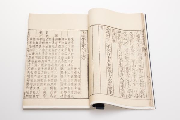 阳明先生年谱三卷,王阳明,王守仁,阳明文化