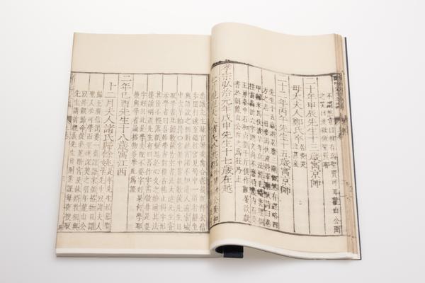 阳明先生年谱三卷,王阳明,王守仁,阳明文化