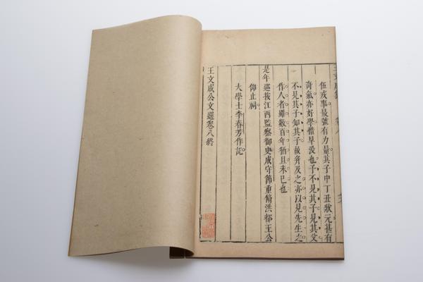 王文成公文选八卷,王阳明,王守仁,阳明文化